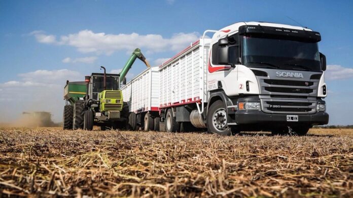 transporte granos
